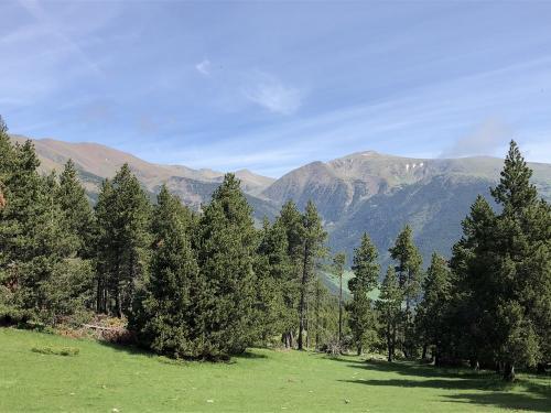 Views to the French border